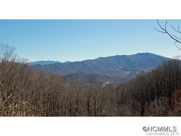 00 Plott Mountain Road, Waynesville, NC 28786