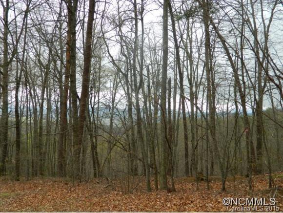 267 Georges Branch Rd., Candler, NC 28715