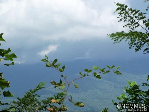 Shealea Ln., Webster, NC 28788