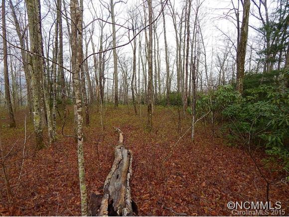 LO62 Panther Cove, Brevard, NC 28712