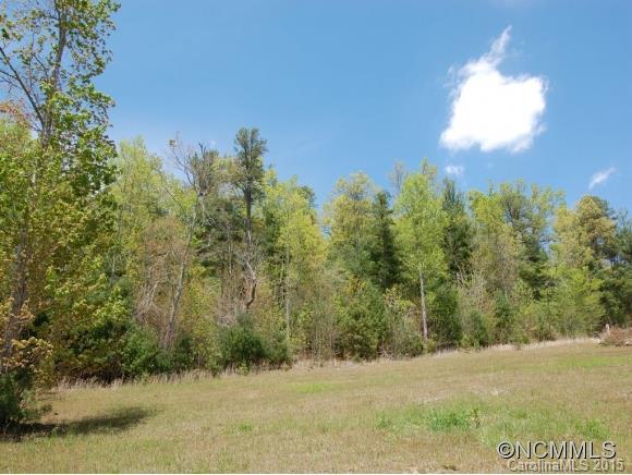 122 N. Crab Meadow Drive #9, Hendersonville, NC 28739