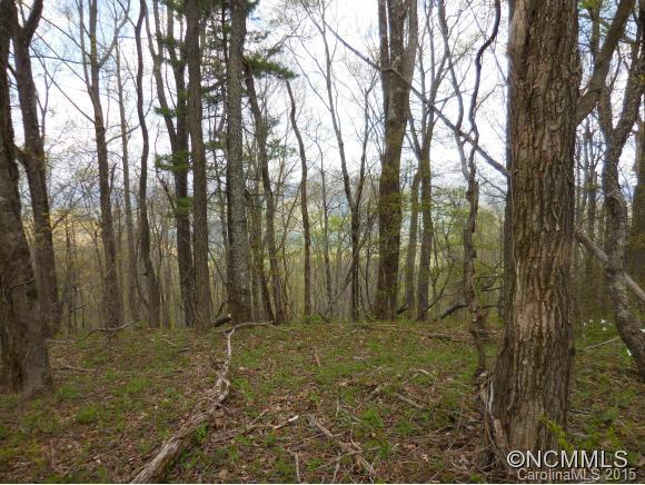 14 Windy Ridge Trail, Asheville, NC 28804