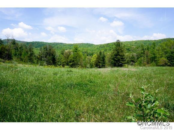 Lot 7 Locust Grove Rd #7, Hendersonville, NC 28792