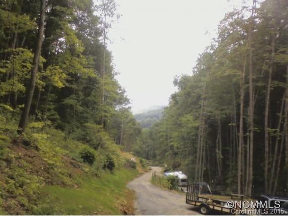 1 Laurel Branch, Canton, NC 28716