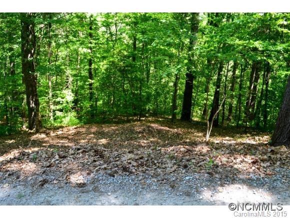 00 Spooks Branch Extension, Asheville, NC 28804