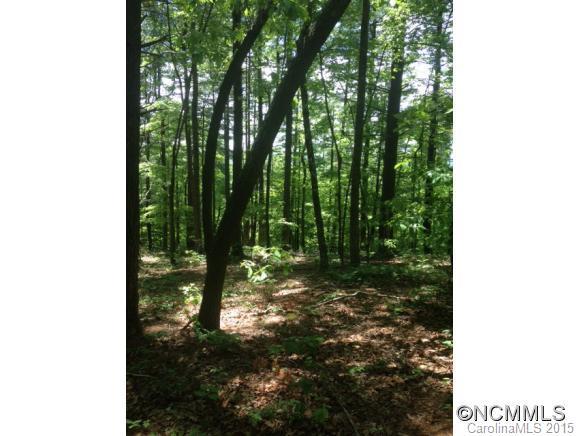 Lot 1 Furman Drive, Hendersonville, NC 28739
