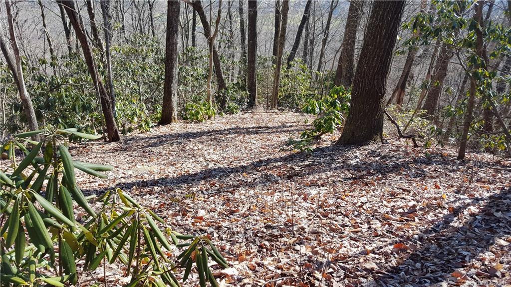 00 Pinnacle Dr #2, Black Mountain, NC 28711