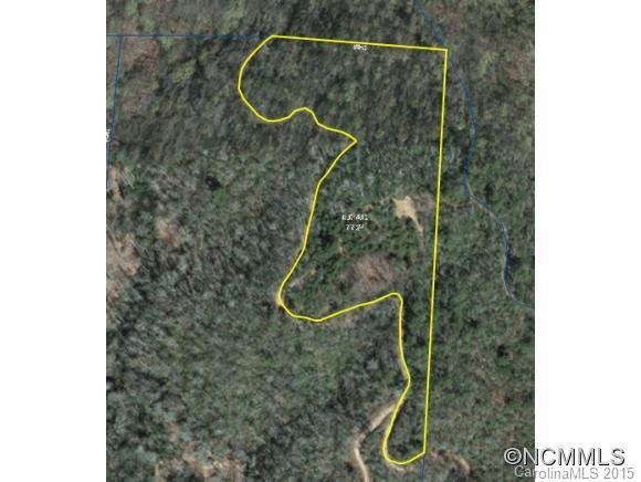 999 Old Gloucester, Brevard, NC 28712