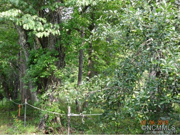 99999 Walker Cove Rd, Black Mountain, NC 28711