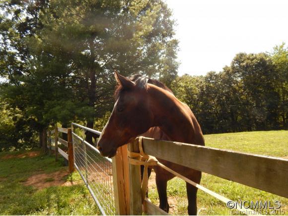 00 Iron Duff Rd., Waynesville, NC 28785