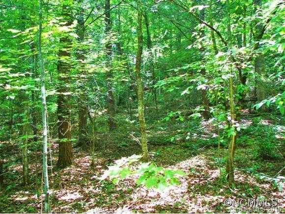 [Address Hidden by Seller], Lake Lure, NC 28746