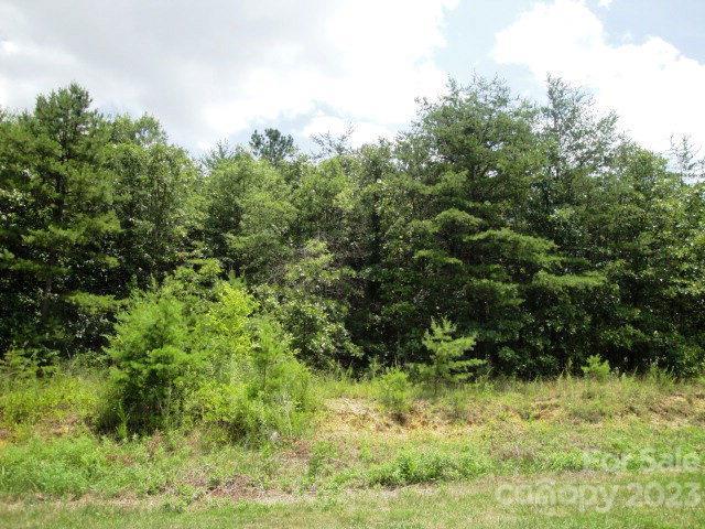 Stokes Ferry Road #NULL, Salisbury, NC 28146