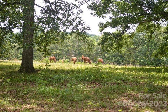 Shuping Mill Road #NULL, Salisbury, NC 28146