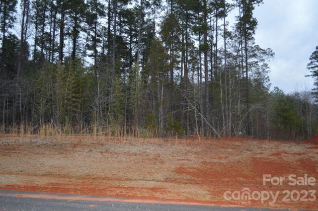 Lot 3 Mason Hill Drive #NULL, Rockwell, NC 28138