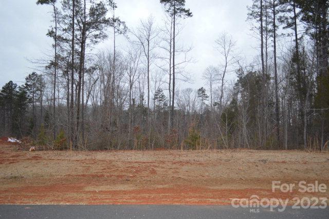 Lot 4 Mason Hill Drive #NULL, Rockwell, NC 28138