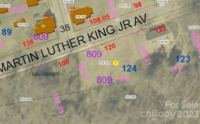 809 Martin Luther King Jr Avenue South #NULL, Salisbury, NC 28144