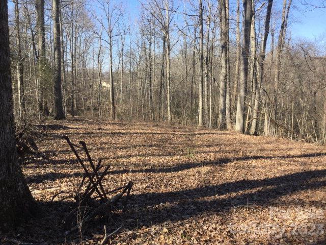 1082 Quantz Lane #NULL, Rockwell, NC 28138