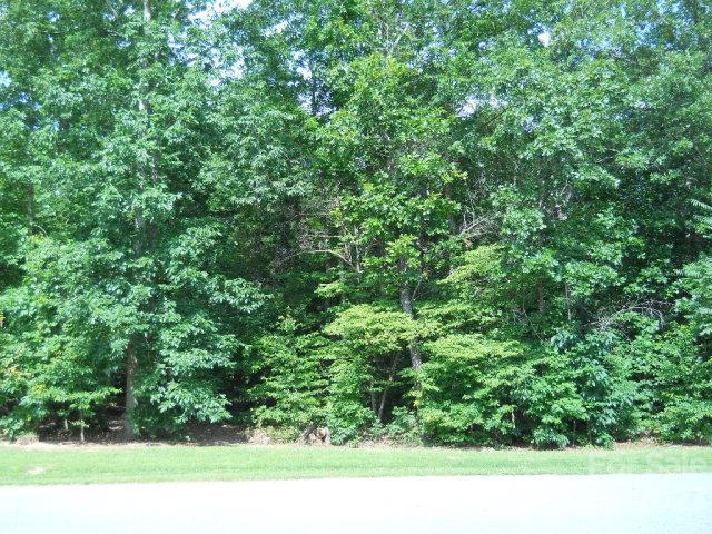 445 L M Overcash Road #NULL, Salisbury, NC 28146