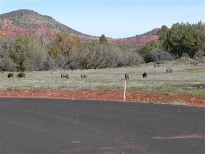 Anglers Way, Sedona, AZ 86336