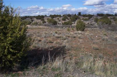 4301 N Ute, Rimrock, AZ 86335