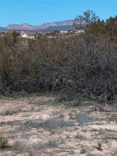 3745 N Bill Williams St. #1, Rimrock, AZ 86335