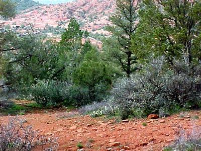 55 Stargazer Way, Sedona, AZ 86336