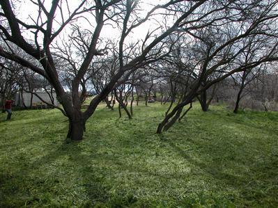 1828 E Longrifle Rd., Camp Verde, AZ 86322