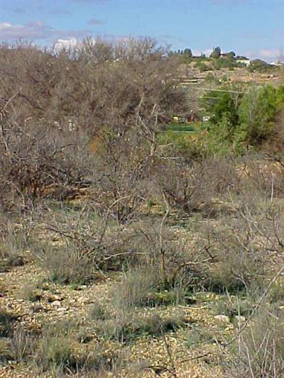 3350 E Coronado, Rimrock, AZ 86335