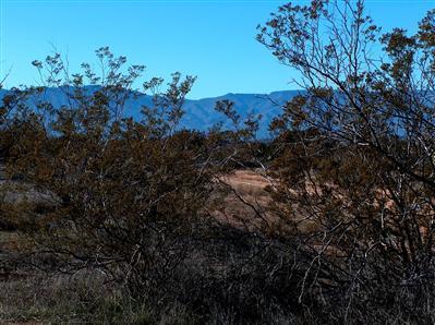 3300 N Kit Carson Tr. #1, Rimrock, AZ 86335