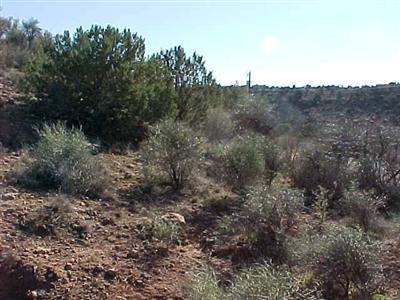 4115 N Antigua #7, Rimrock, AZ 86335