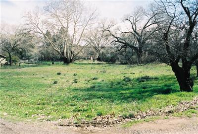 4035 E Beaver Vista Rd., Rimrock, AZ 86335