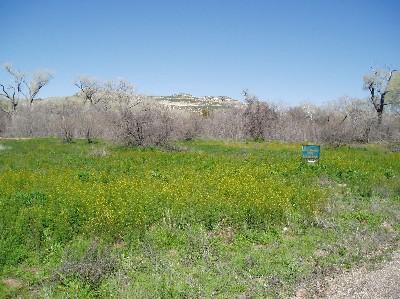 2984 E Skyline Dr., Camp Verde, AZ 86322