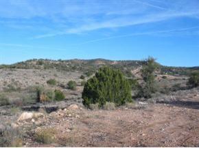 Outlaw, Camp Verde, AZ 86322