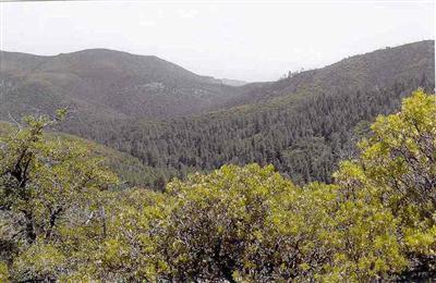 Forest Road 132, Jerome, AZ 86331