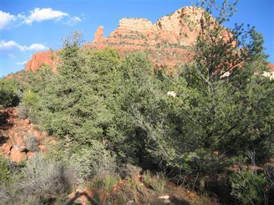 121 E Mallard Dr., Sedona, AZ 86336