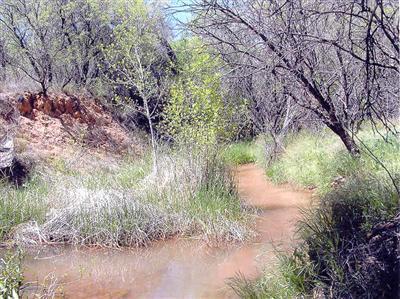 Loy Rd., Cornville, AZ 86325