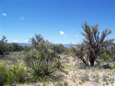 4775 Crazy Horse Cir., Rimrock, AZ 86335