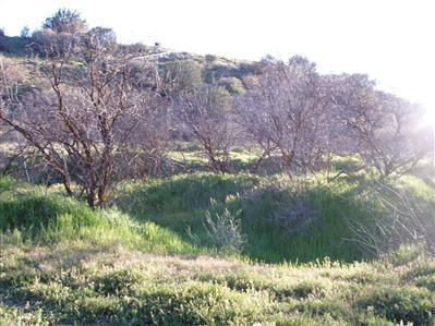 4385 E Dusty Moccasin, Rimrock, AZ 86335