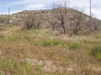 4740 E Beaver Creek Rd., Rimrock, AZ 86335