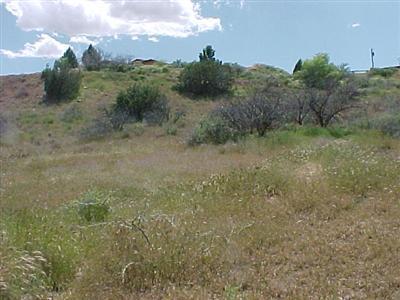 5480 N Bentley Dr., Rimrock, AZ 86335