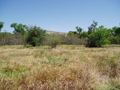 3024 E Skyline Dr., Camp Verde, AZ 86322