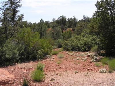 130 Calle Irena, Sedona, AZ 86336