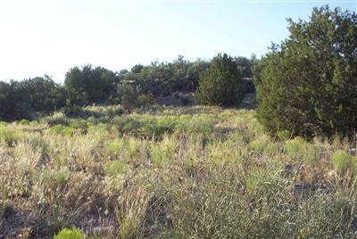 Millennium, Rimrock, AZ