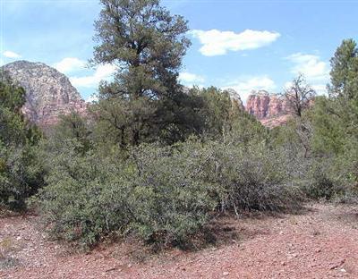 1 Schimberg, Sedona, AZ 86336