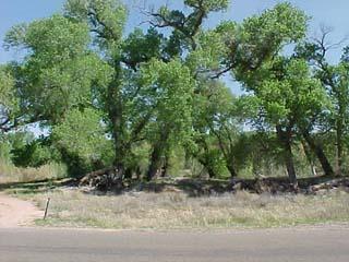 4616 E Commanche Dr., Cottonwood, AZ 86326