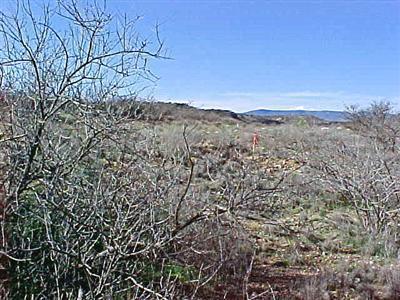 4570 N Johnson Dr. #3, Rimrock, AZ 86335