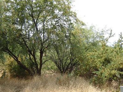 5390 N Bentley Dr. #2, Rimrock, AZ 86335