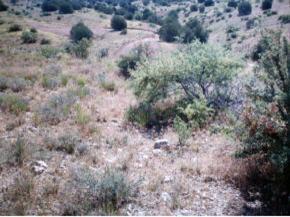 E Outlaw, Rimrock, AZ 86322