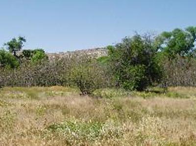 3024 E Skyline Dr., Camp Verde, AZ 86322