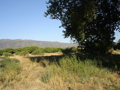 2984 E Skyline Dr., Camp Verde, AZ 86322